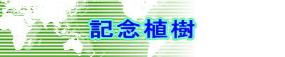 �L�O�A��